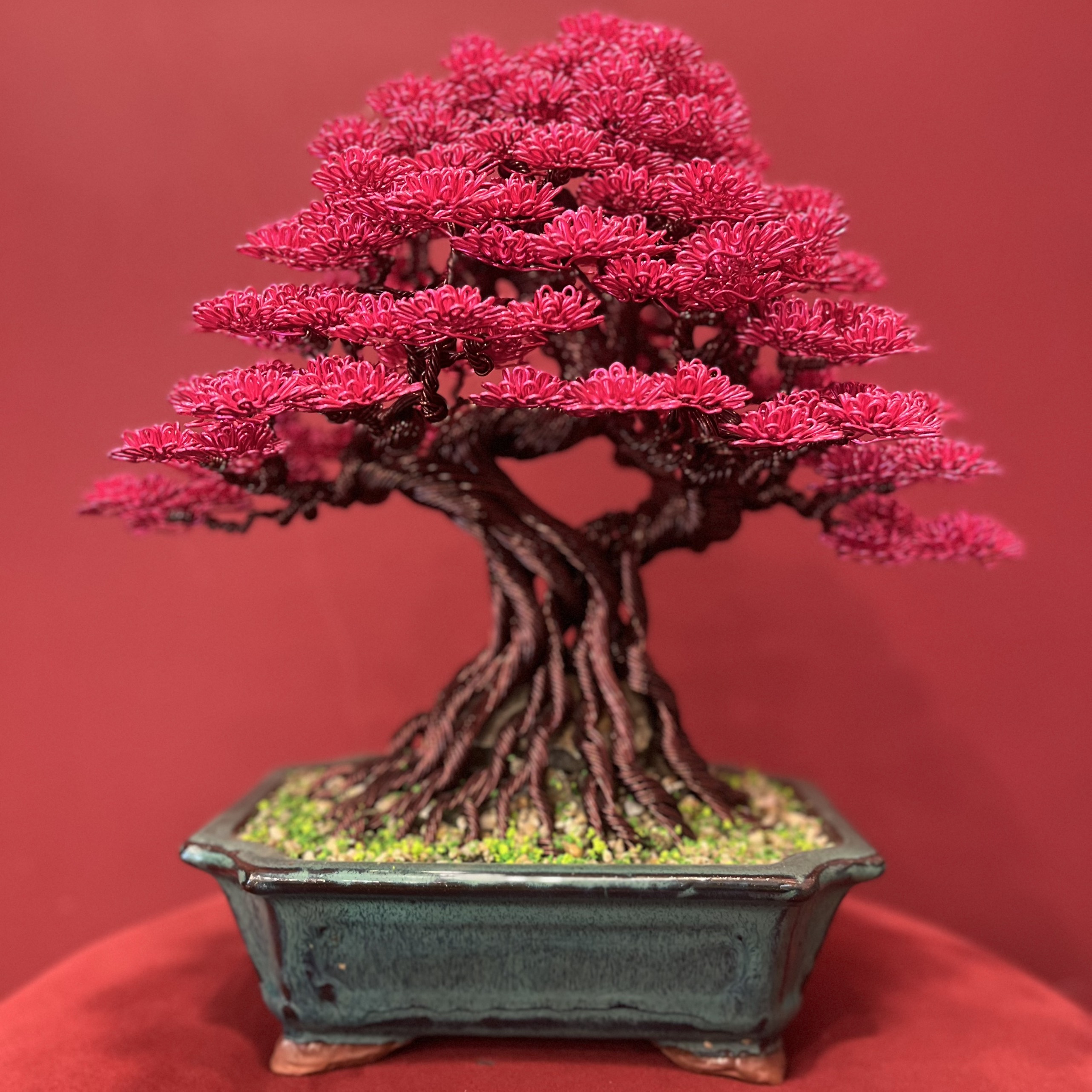 Bonsai Size 2 - Hồng Đậm