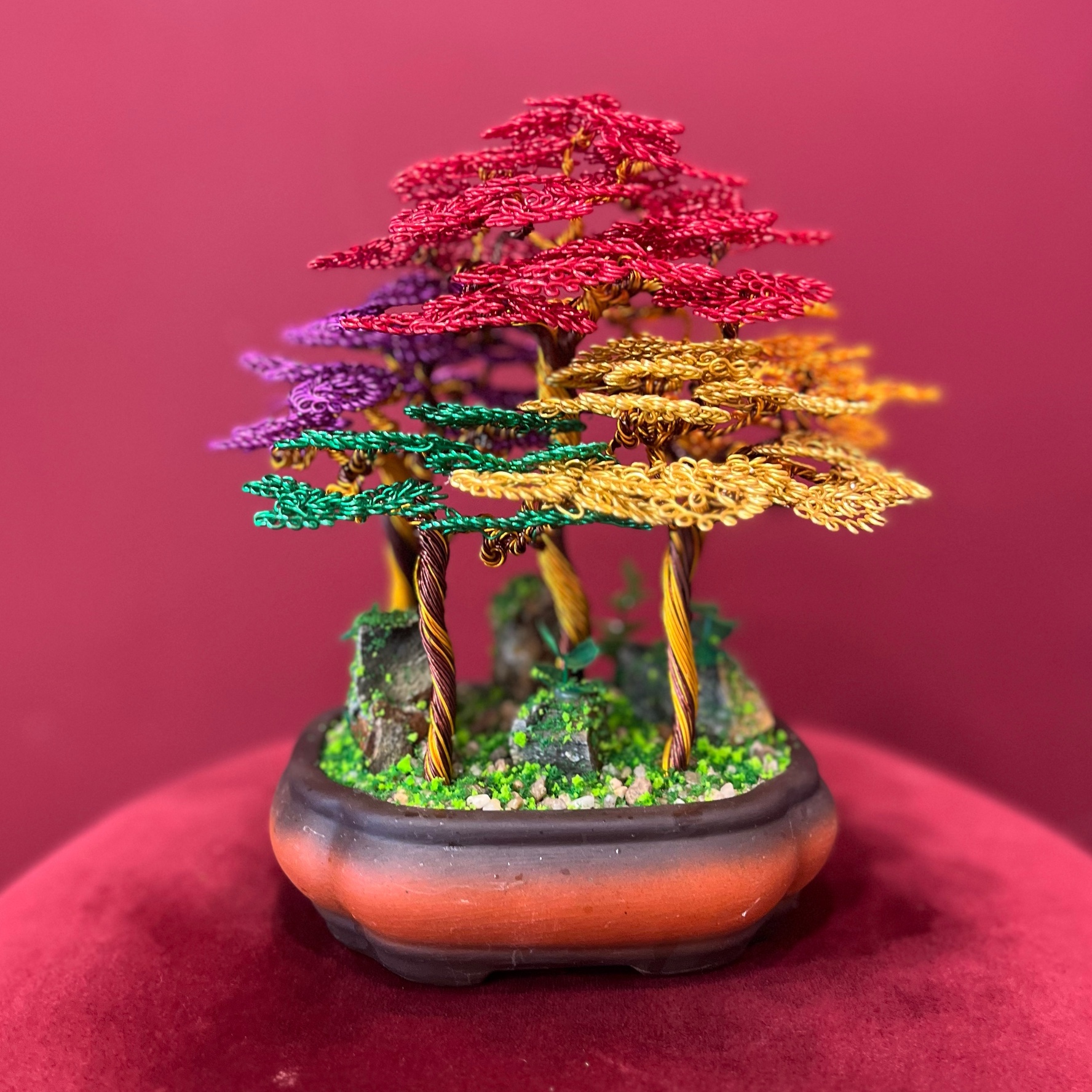 Forest Bonsai - Mix Colour