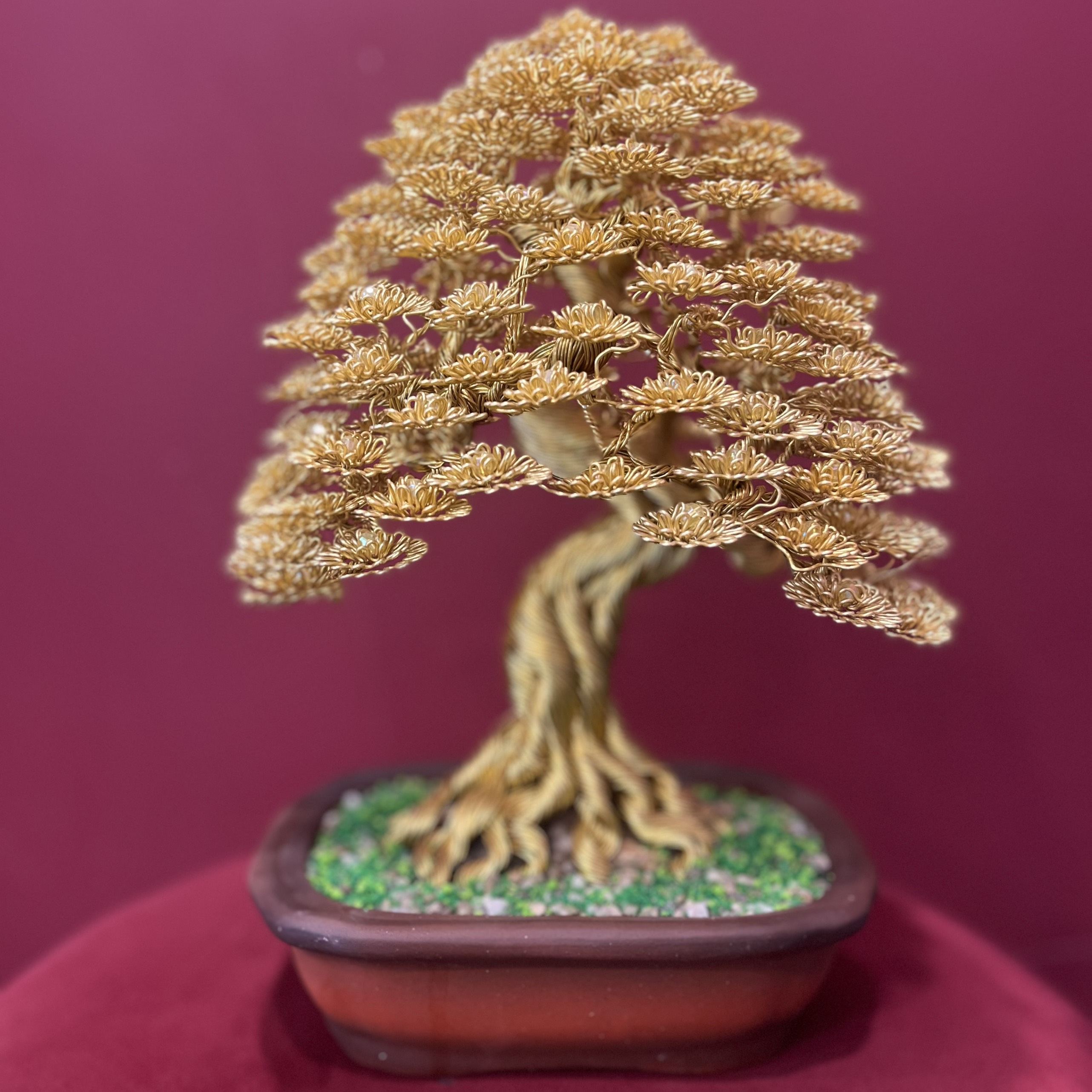 Bonsai Phú Quý Gold - Size 2