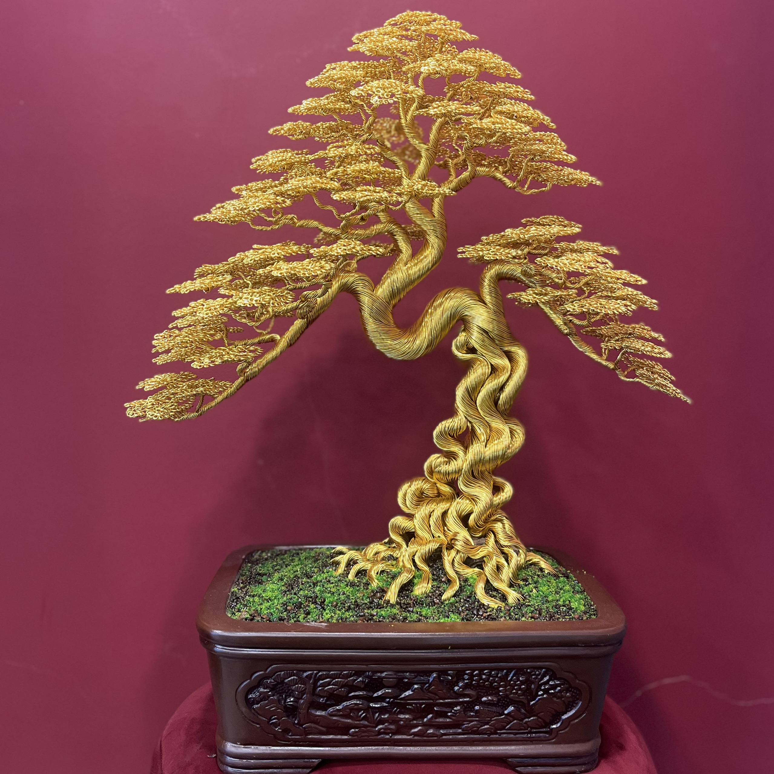 Cây Dáng Tùng - Gold