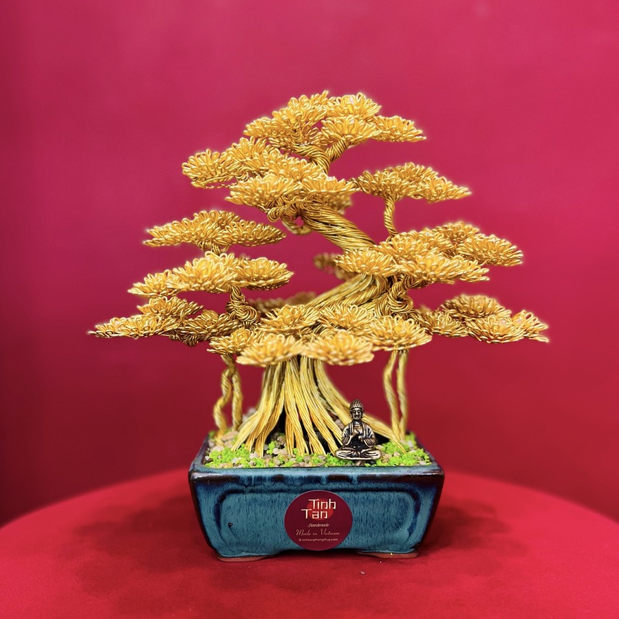 Bonsai Bình An - Hoàng Kim