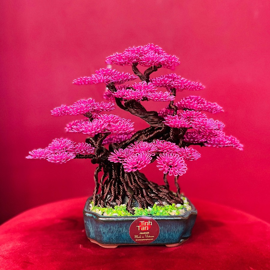 Bonsai Bình An - Hồng