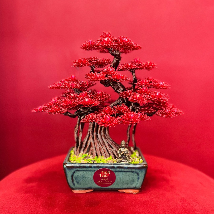 Bonsai Bình An - Đỏ Rực Rỡ