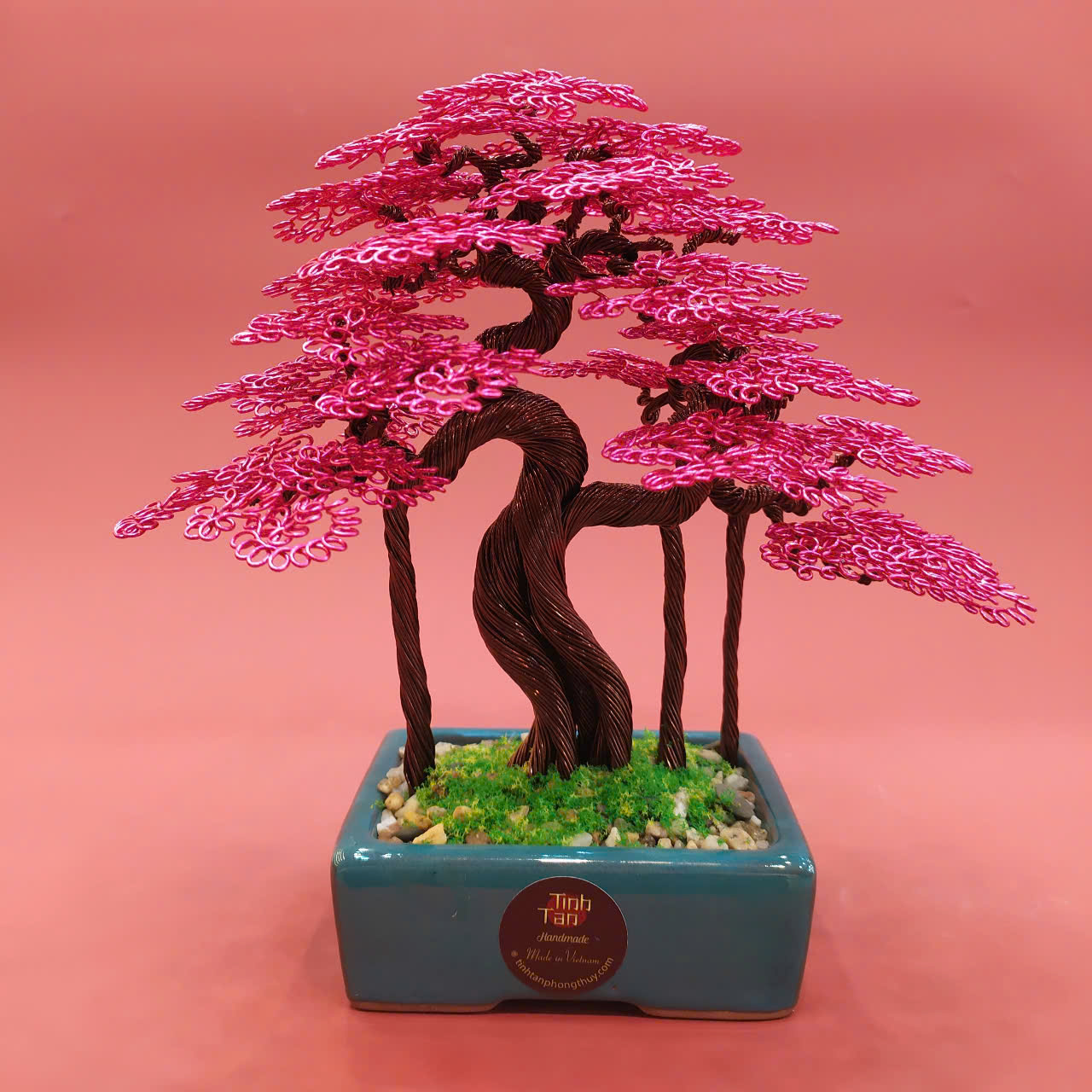 Lucky tree - bonsai hồng size 1