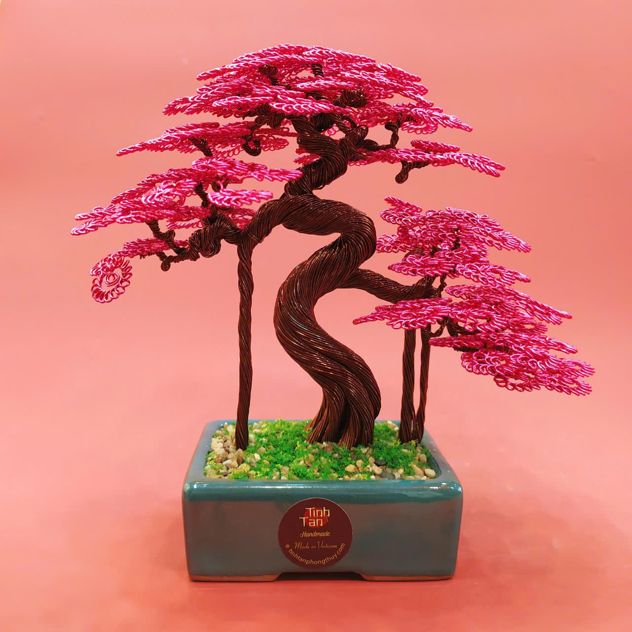 Lucky tree - bonsai hồng size 1