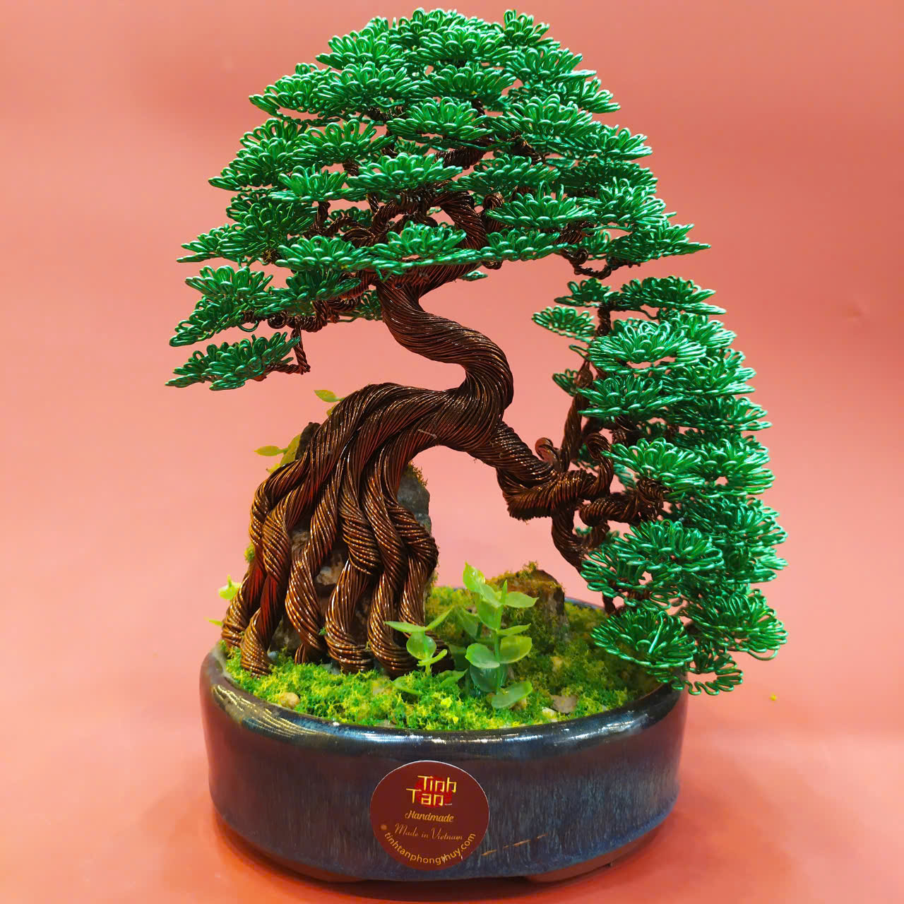 Lucky tree - over rock bonsai size 1