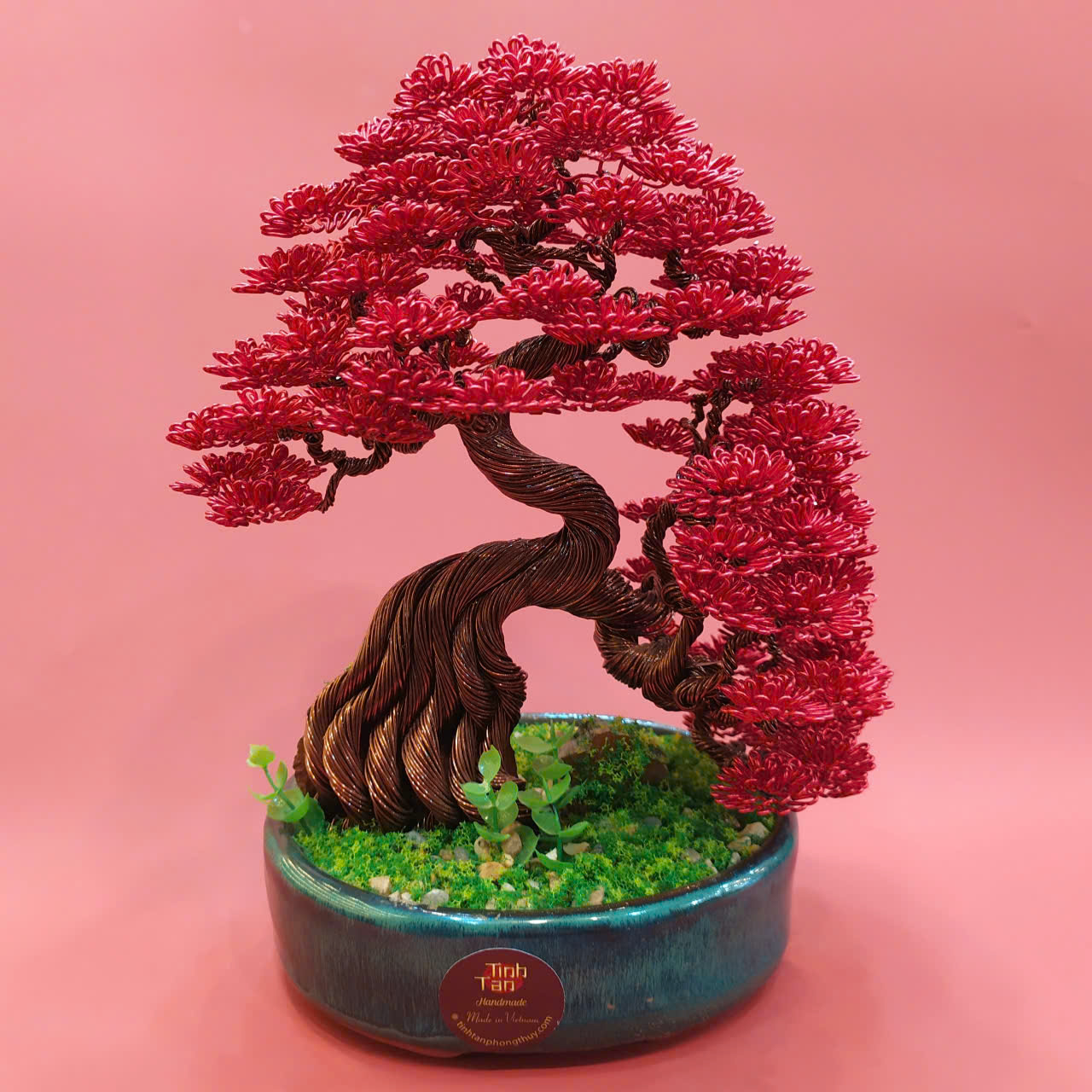 Lucky tree - over rock bonsai size 1