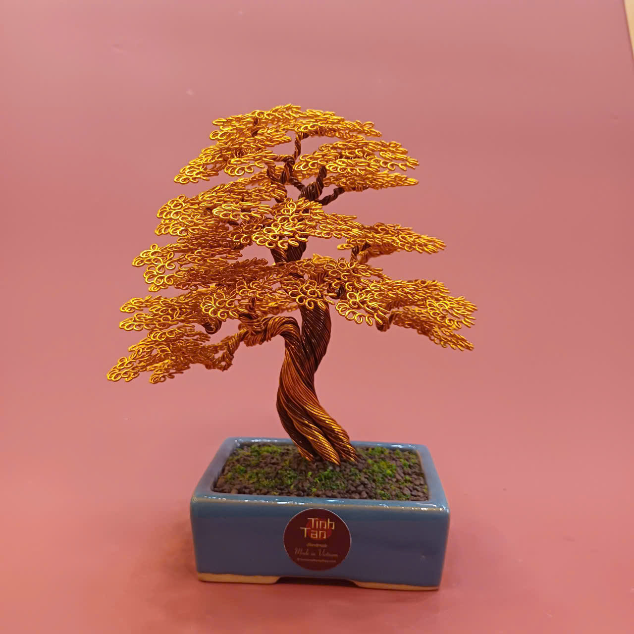 Lucky tree - bonsai cam size 1