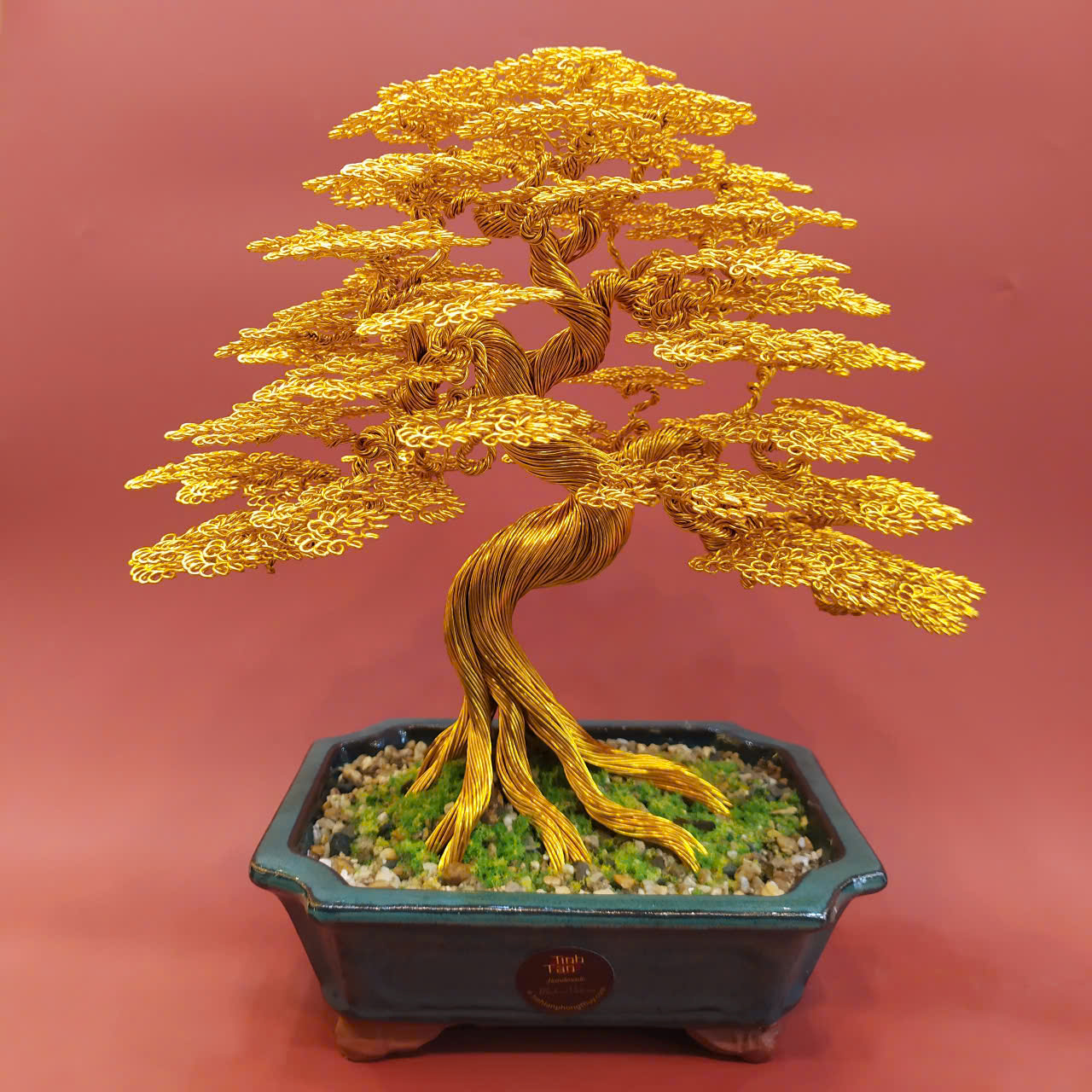 Bonsai vàng size 2