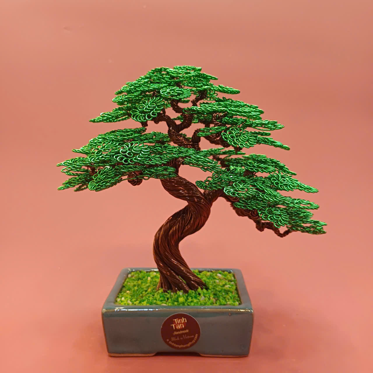Lucky tree - Bonsai xanh size 1