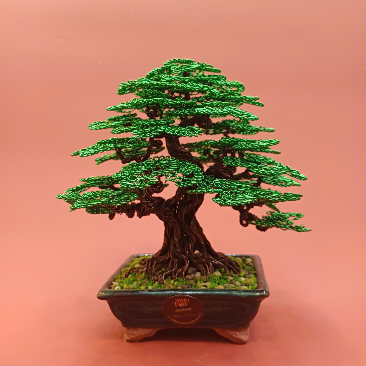 Lucky tree - bonsai xanh size 1