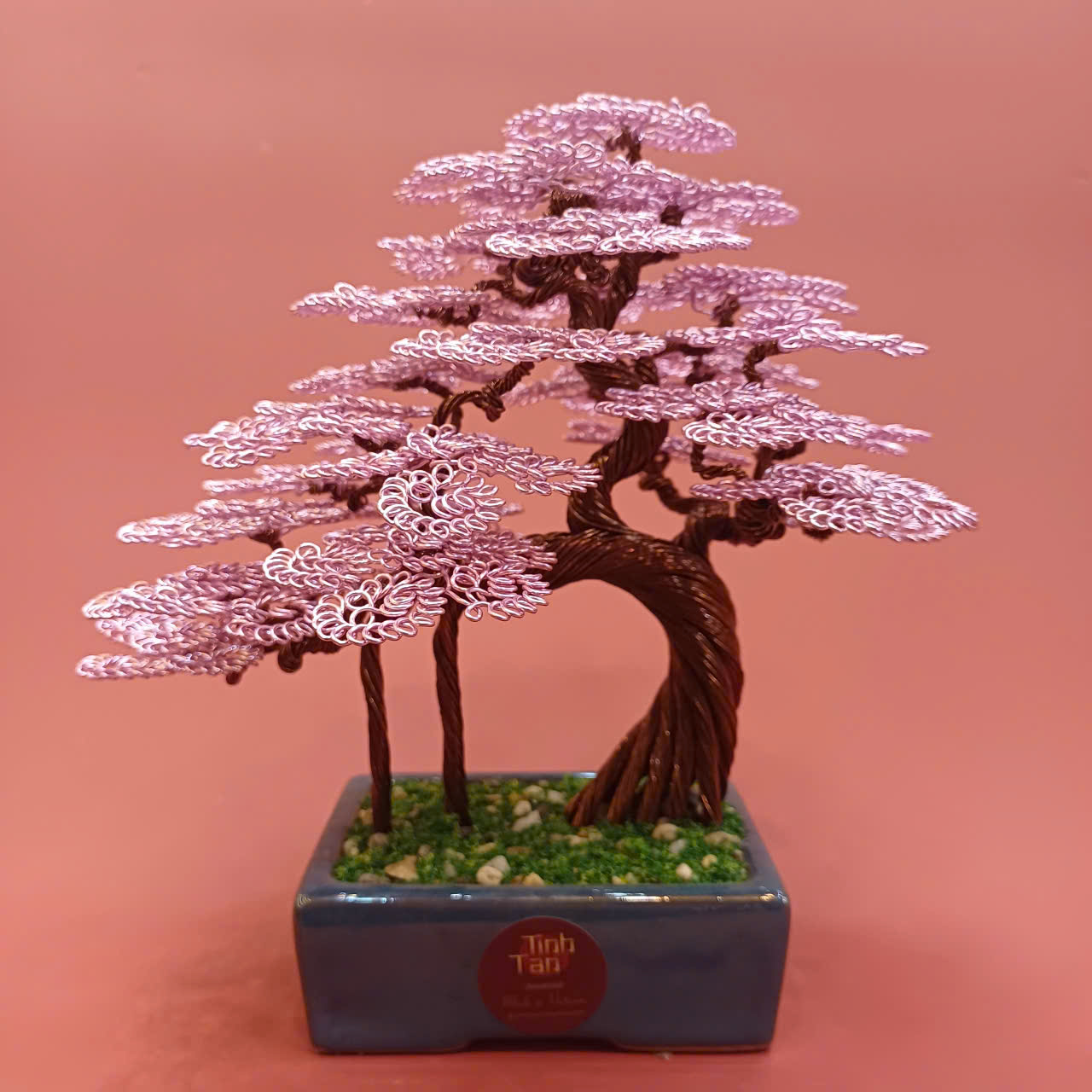 Lucky tree - bonsai hồng size 1
