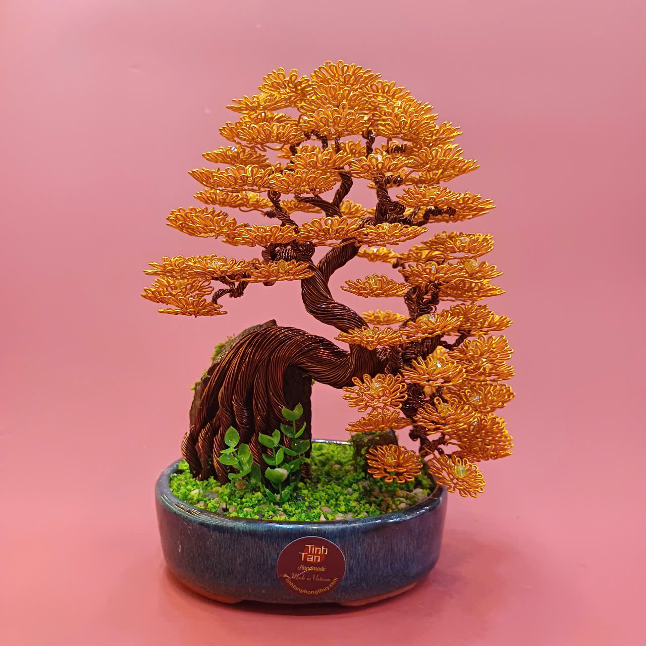 Lucky tree - over rock bonsai size 1