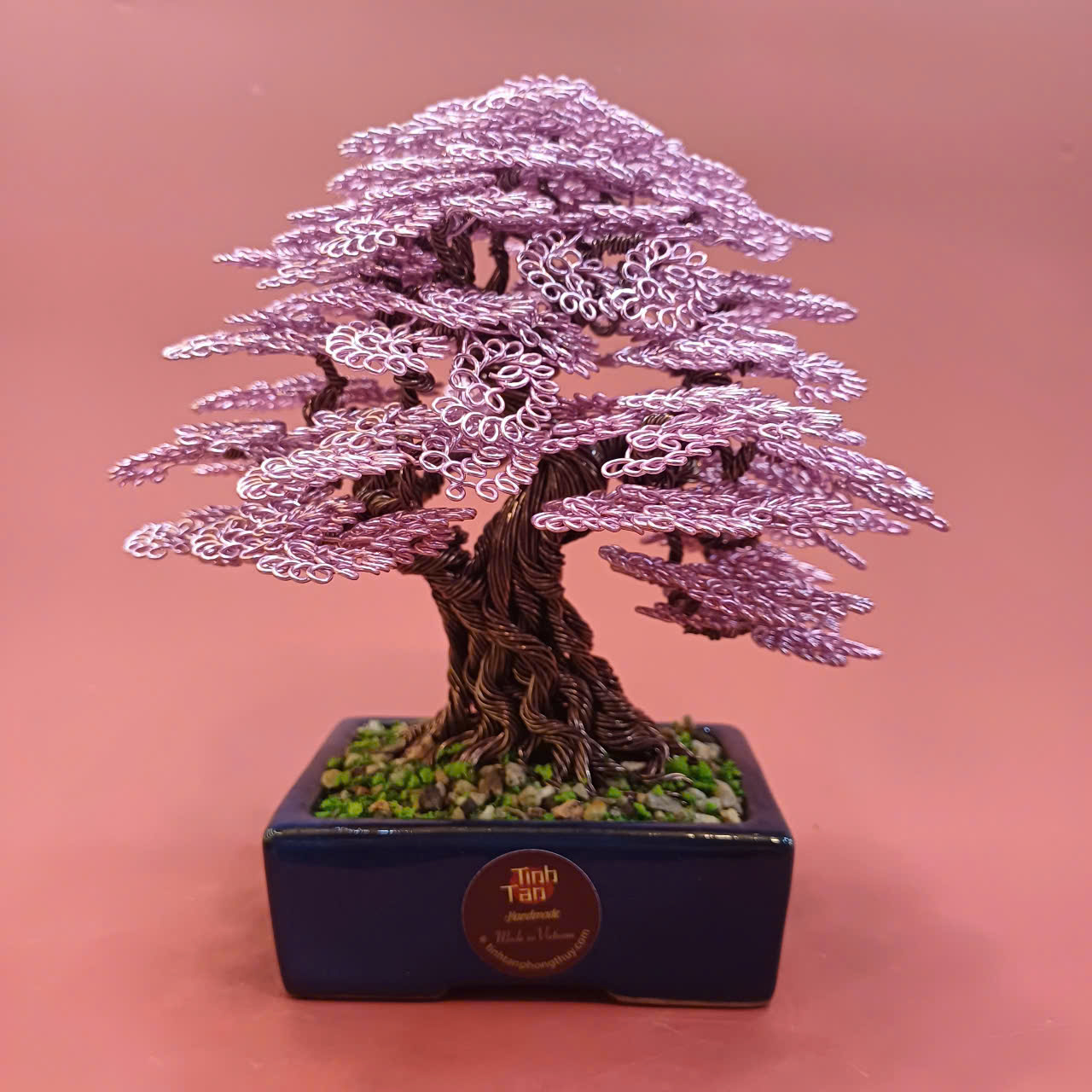 Lucky tree - bonsai hồng size 1