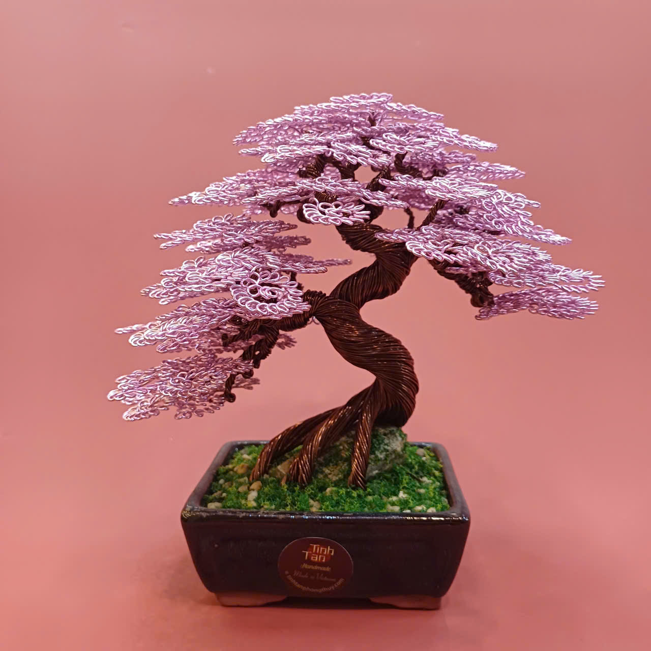 Lucky tree - bonsai hồng size 1