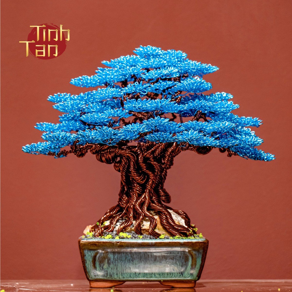 Cây Bonsai Tinh Tấn Xanh Dương Size 1
 