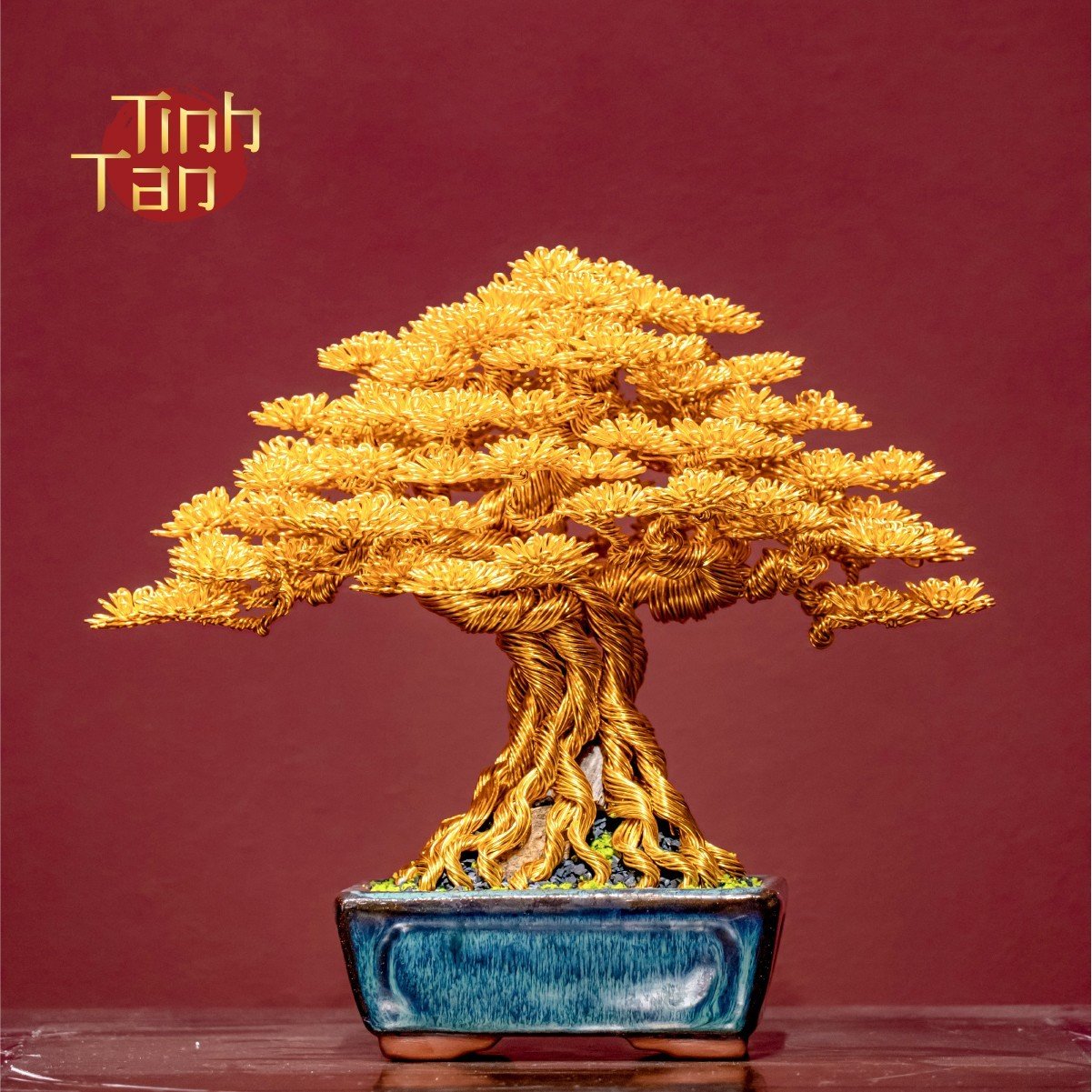 Cây Bonsai Tinh Tấn Gold size 1