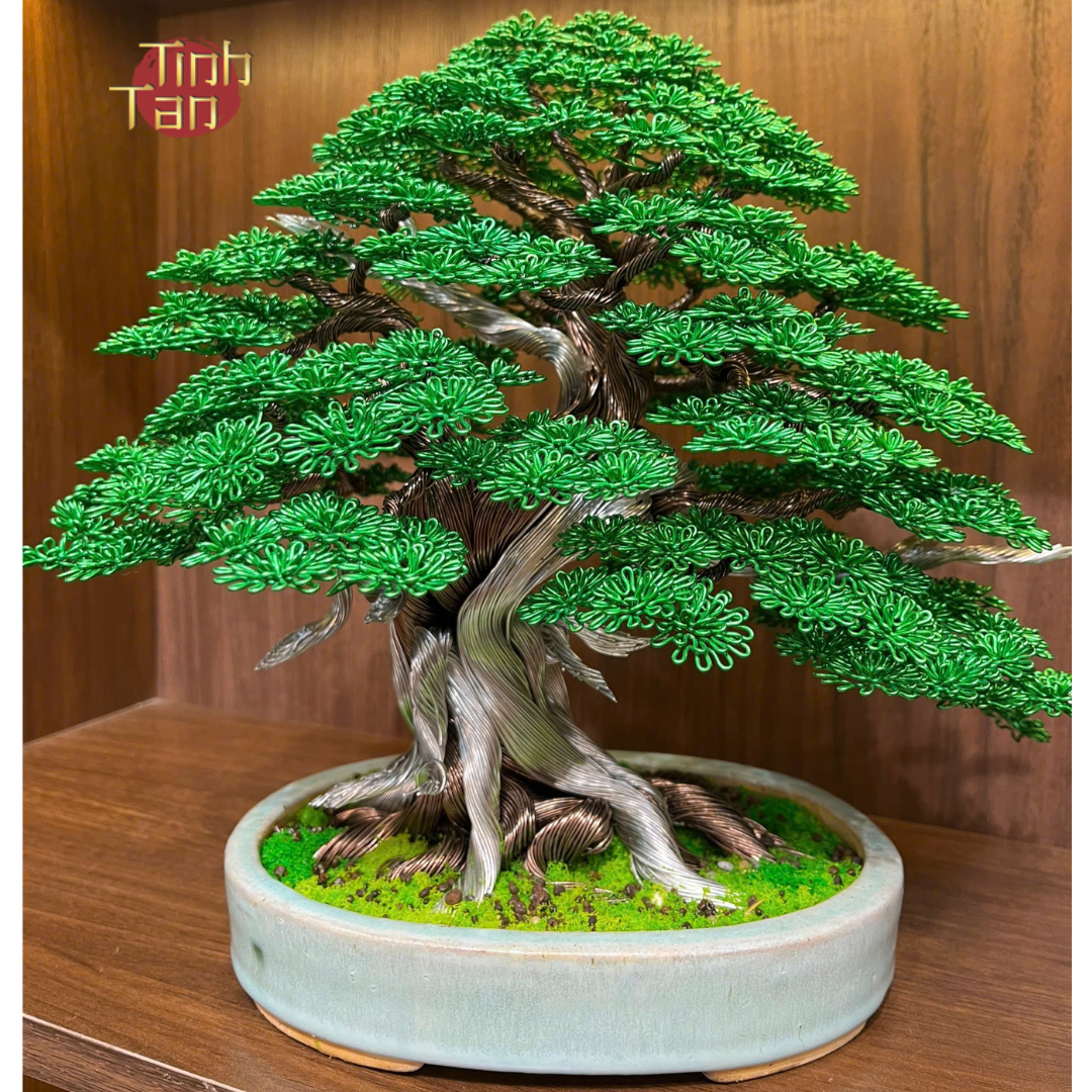 Phong thủy trong bonsai