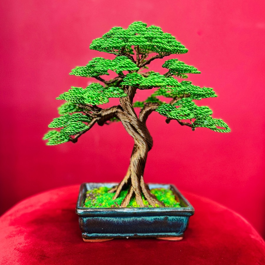 Những Lí Do Nên Chọn Lucky Bonsai tại Tinh Tấn Phong Thủy ?
