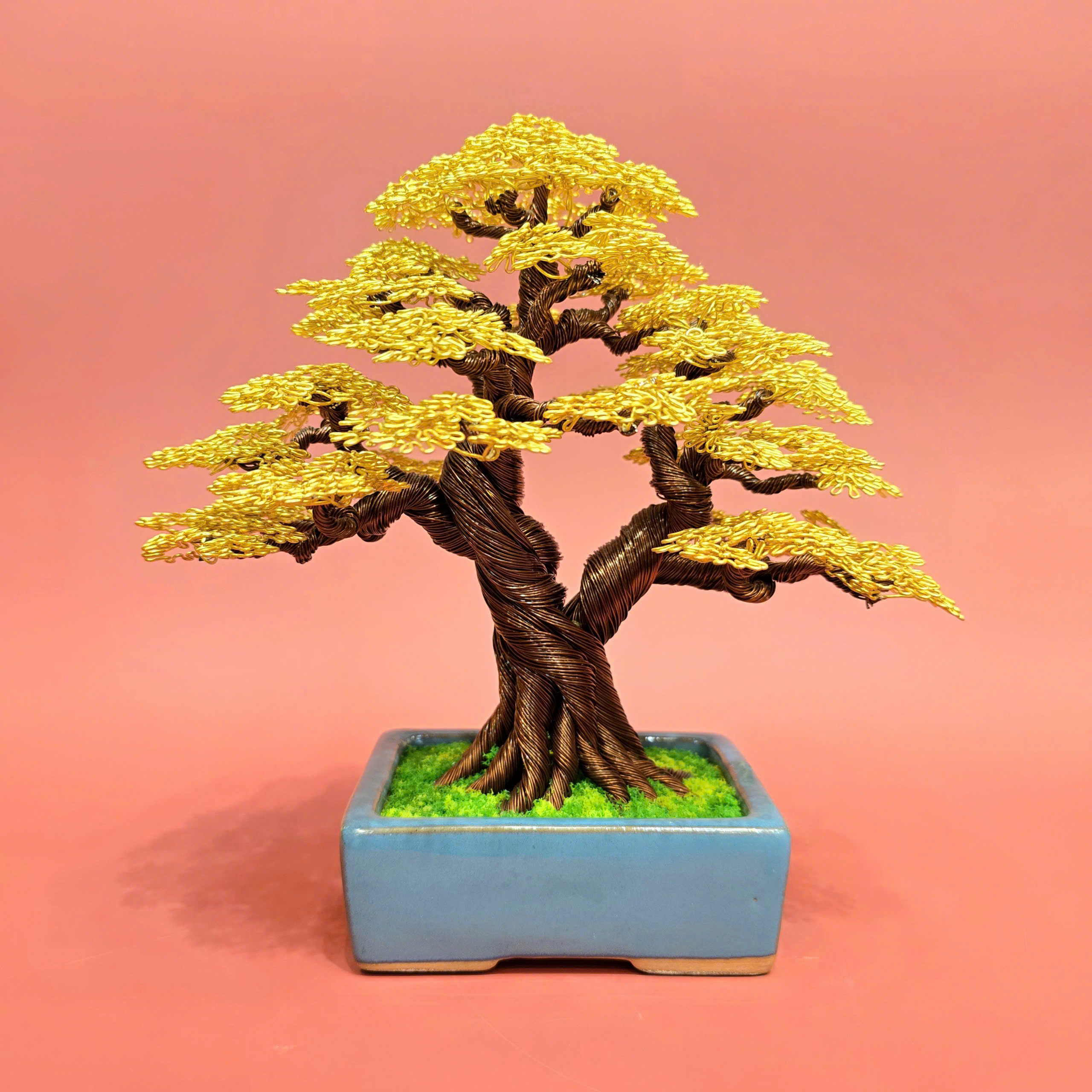 Happy tree - Cây bonsai hạnh phúc