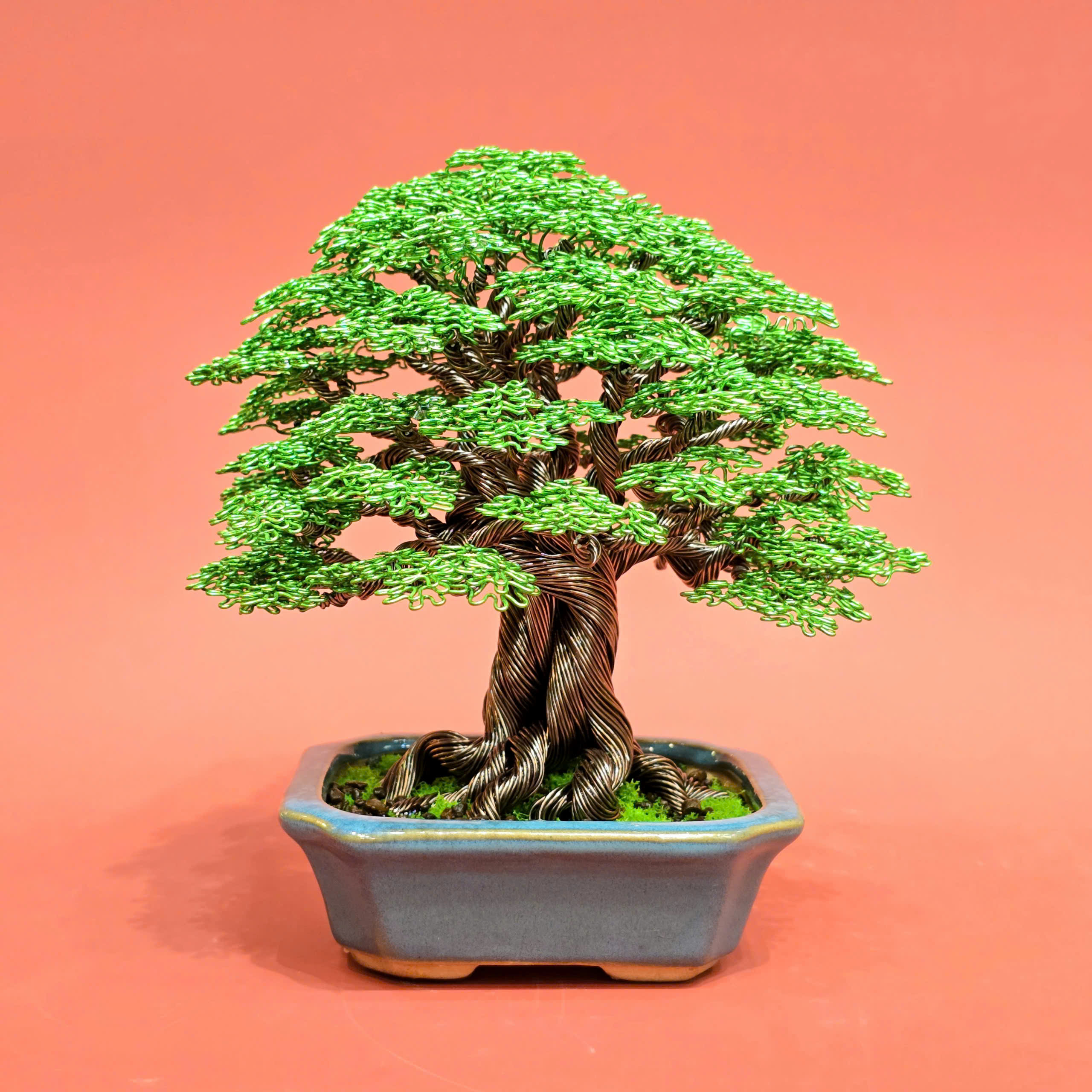 Happy tree - Cây bonsai hạnh phúc