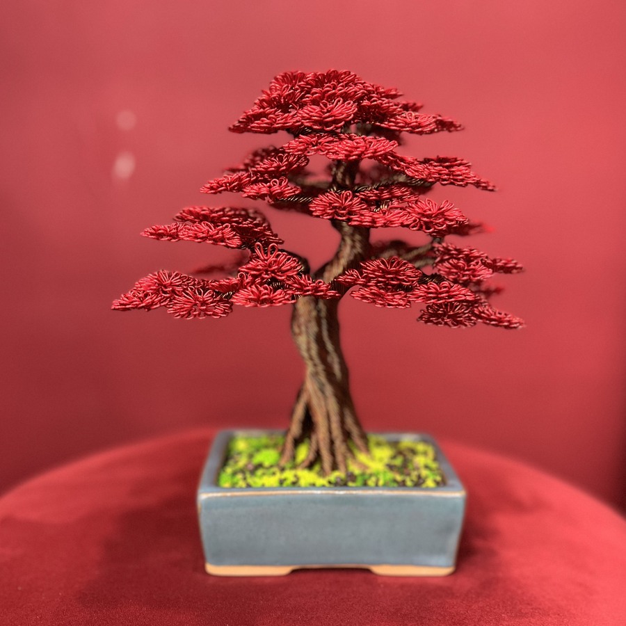 Happy tree - Cây bonsai hạnh phúc