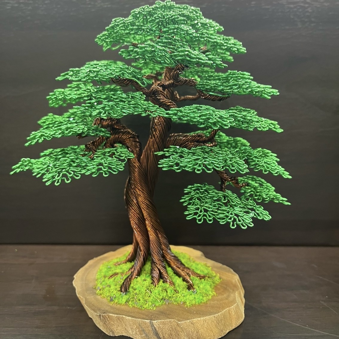 Scented Wood Tree - Cây Gỗ Thơm