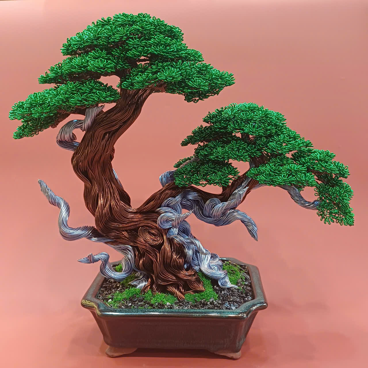 Bonsai Tanuki