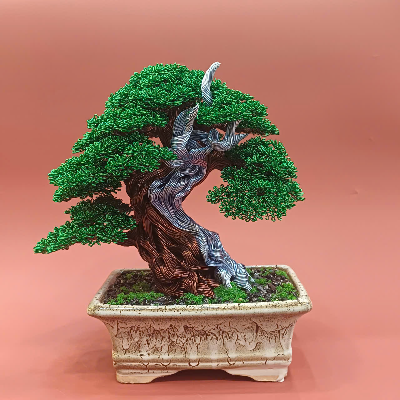 Bonsai Tanuki