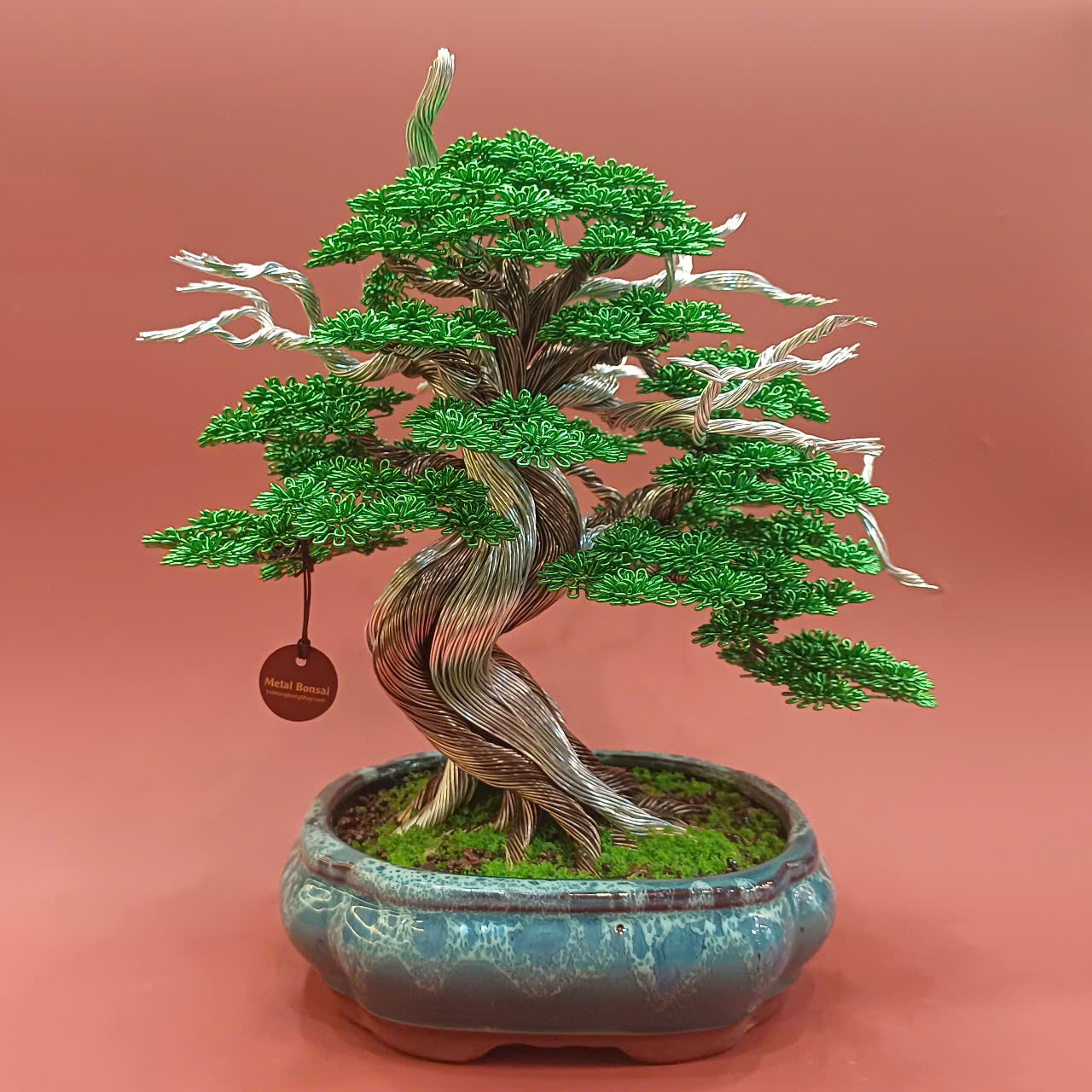 Bonsai Tanuki