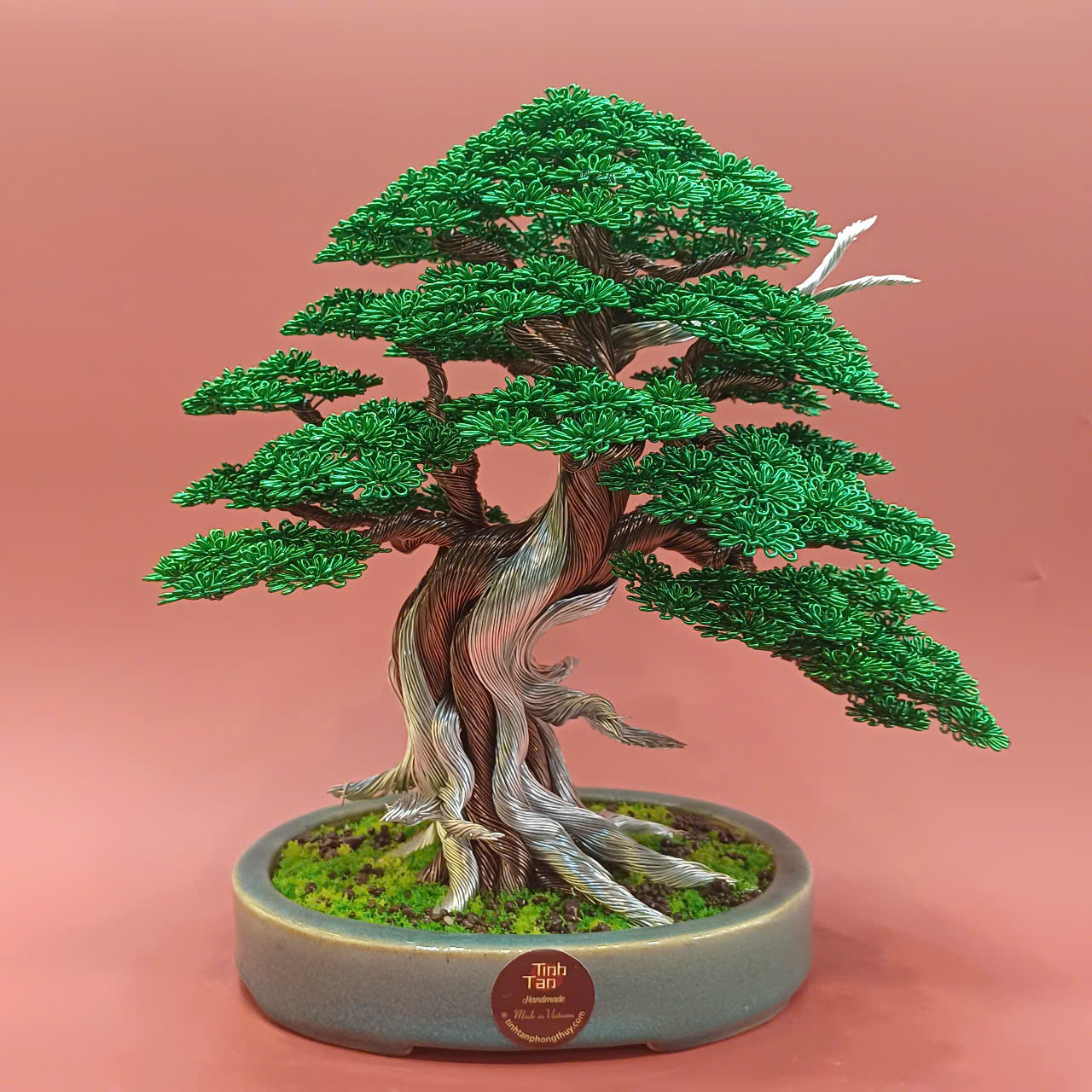 Bonsai Tanuki