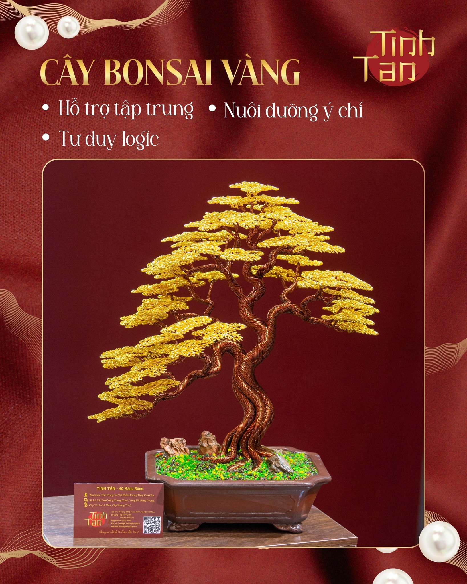 🌟CÂY BONSAI VÀNG - NUÔI DƯỠNG Ý CHÍ VỮNG VÀNG 🌟